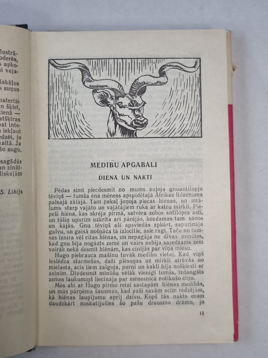 Bezvainīgie slepkavas