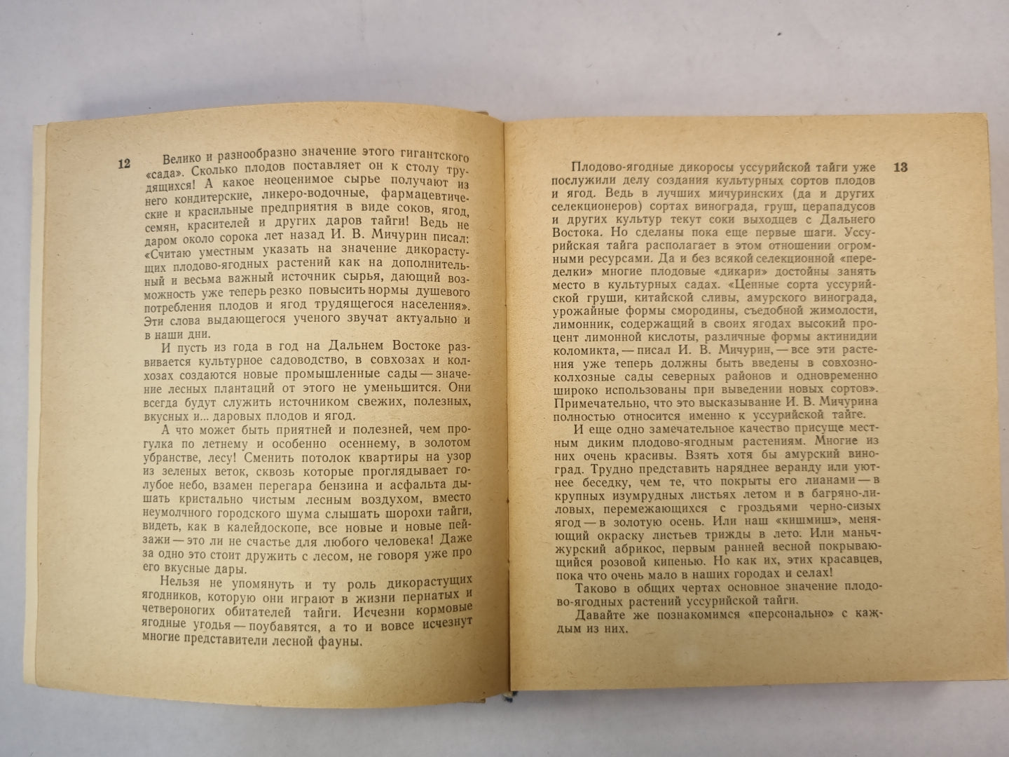 Дары Уссурийской тайги