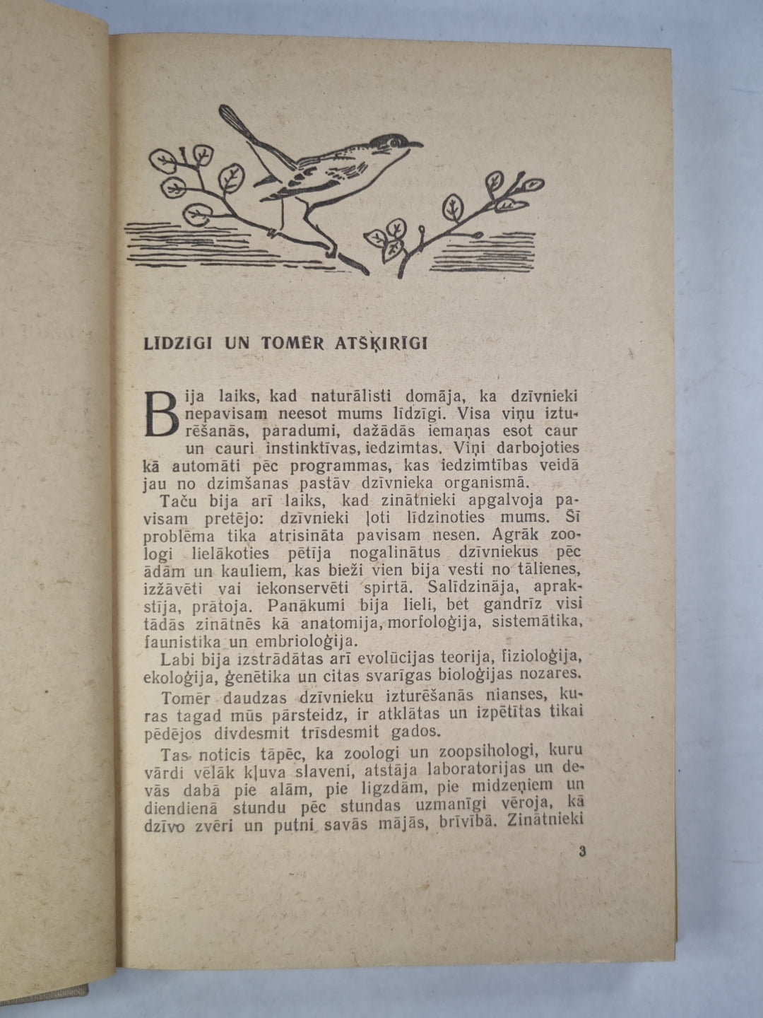 No rīta līdz vakaram