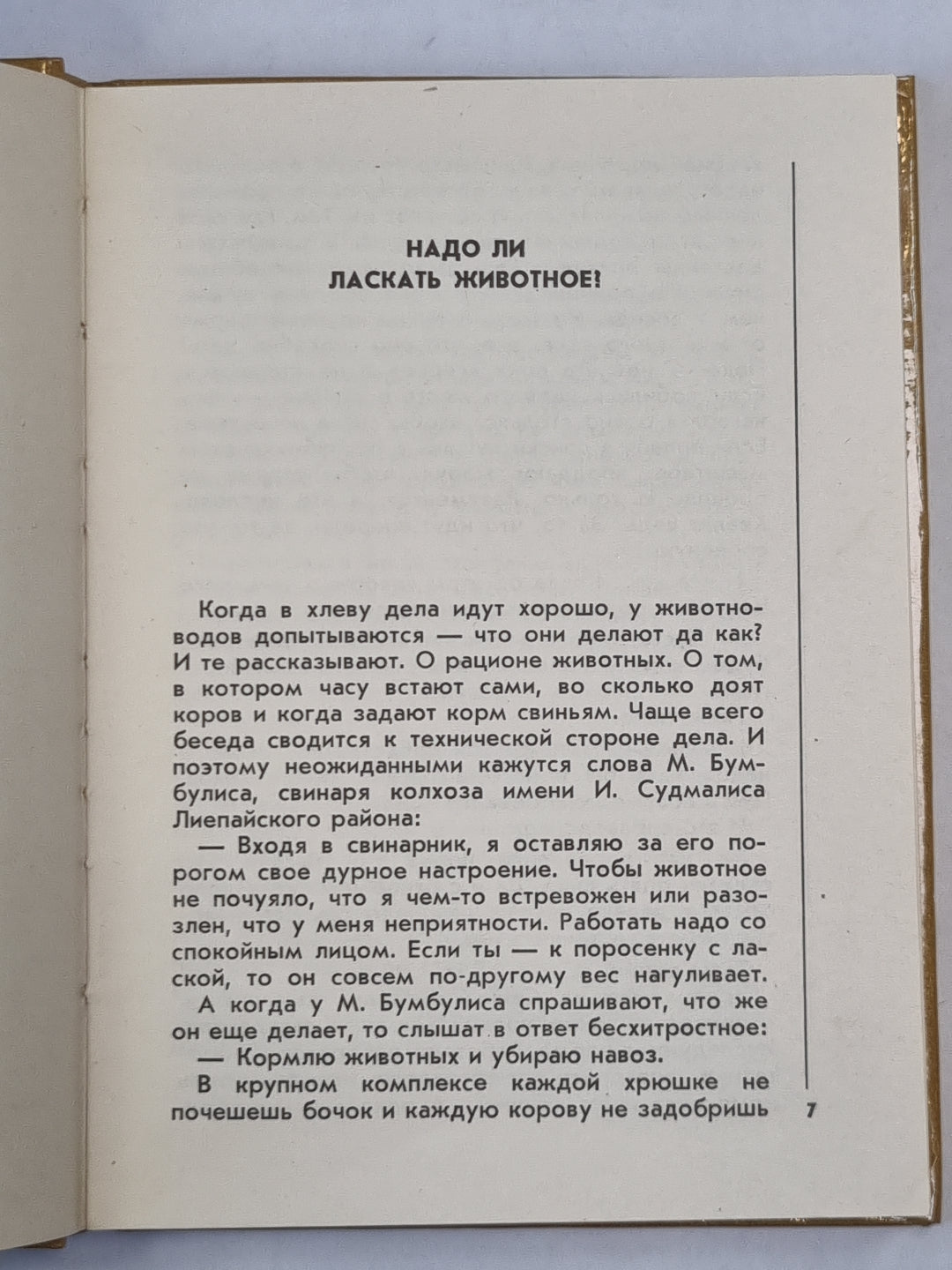 Аист на телеграфном столбе