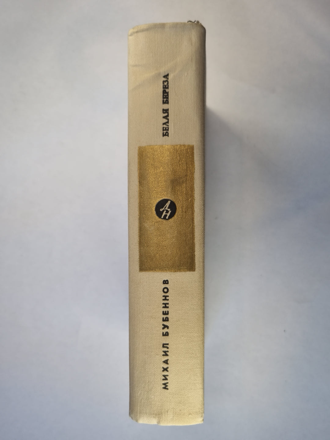 Белая береза