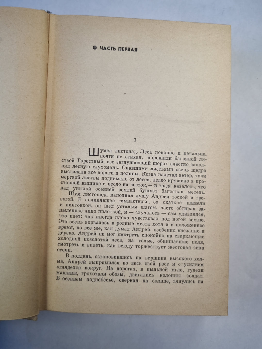 Белая береза