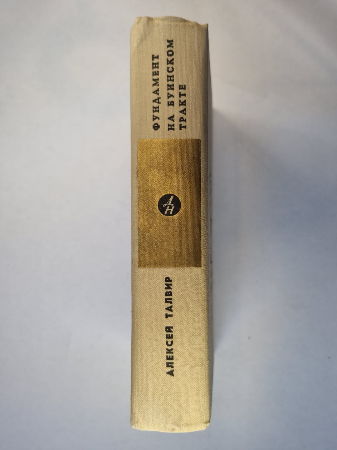 Фундамент. На буинском тракте