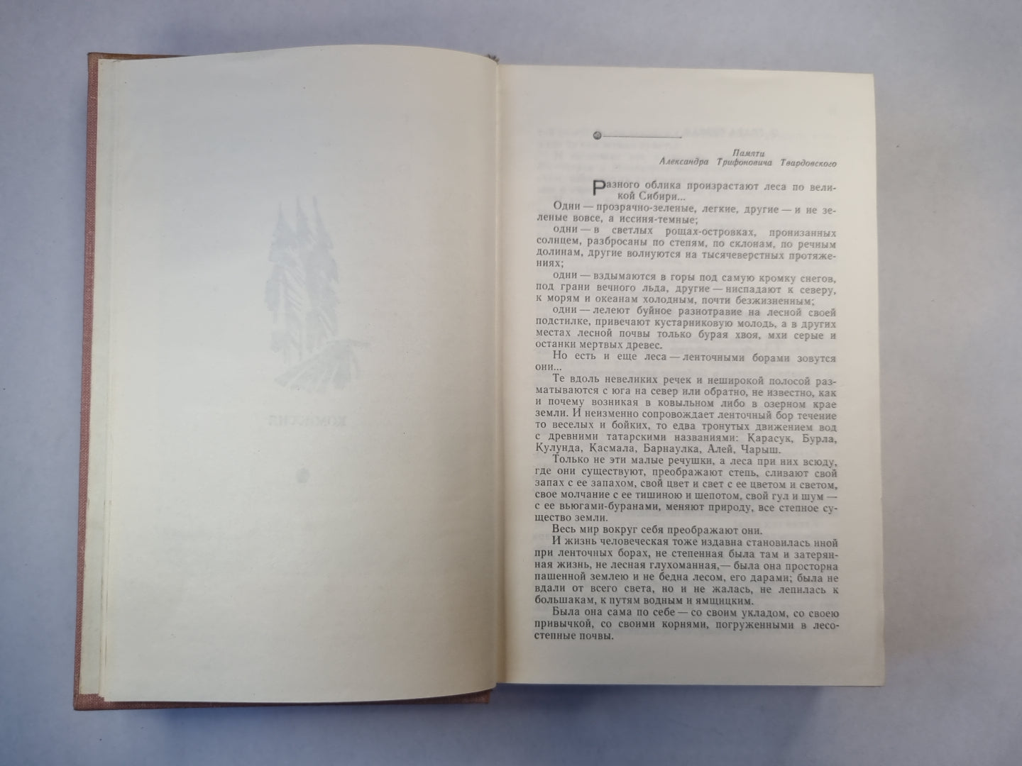 Комиссия. Южноамериканский вариант