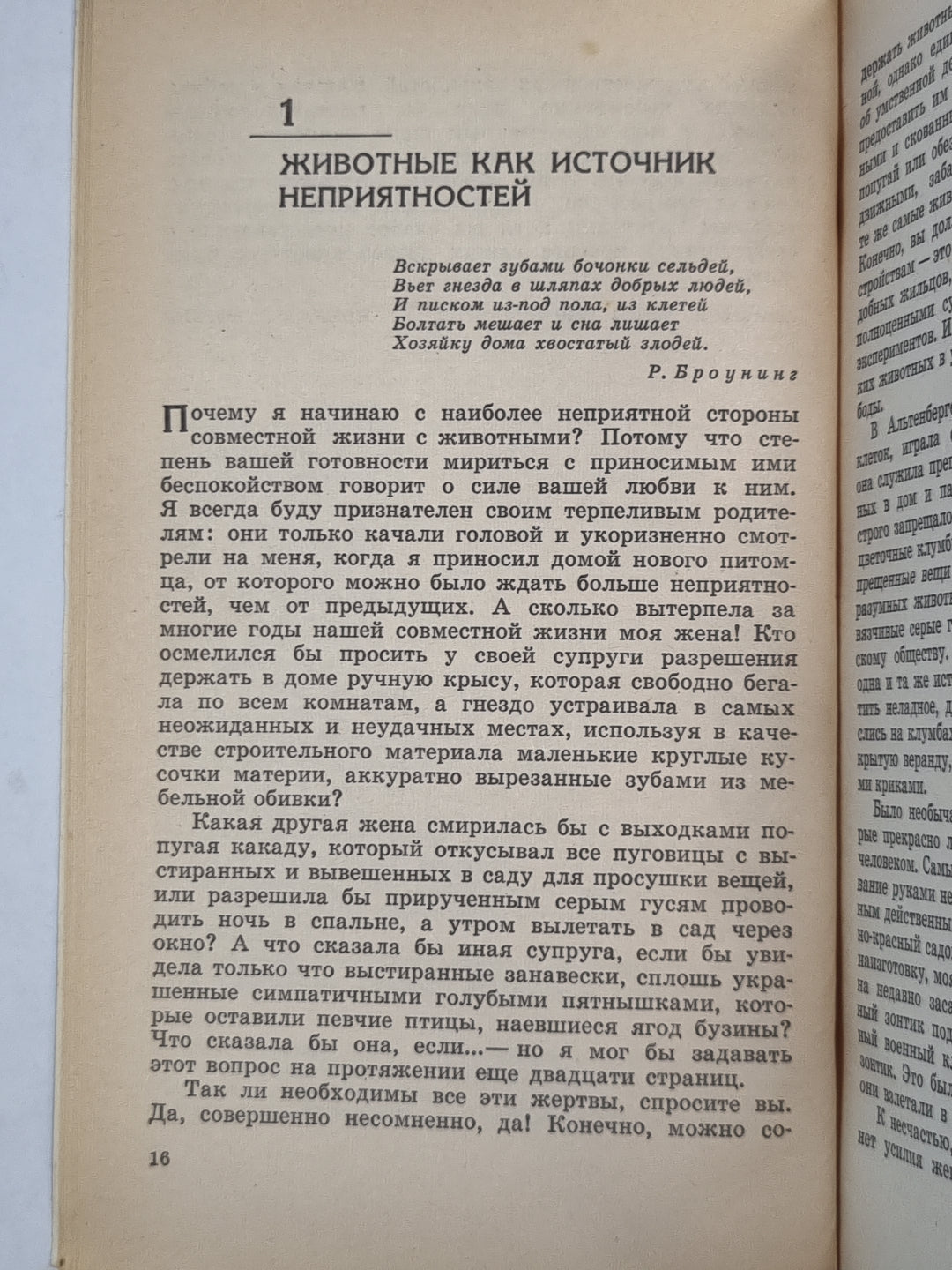 Кольцо царя Соломона