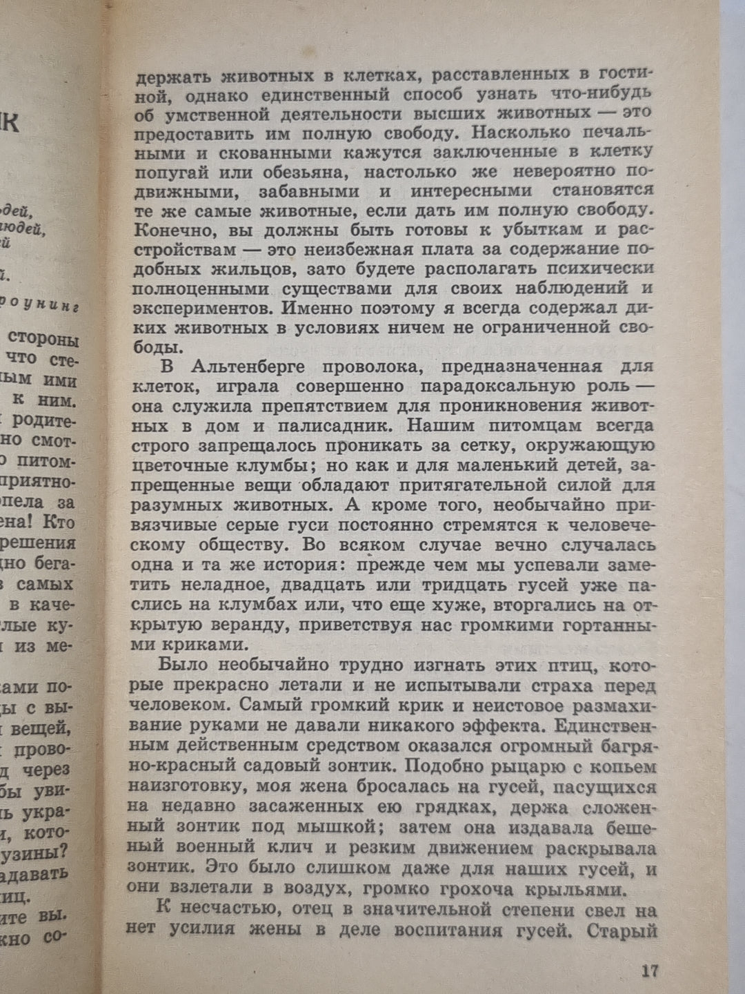 Кольцо царя Соломона