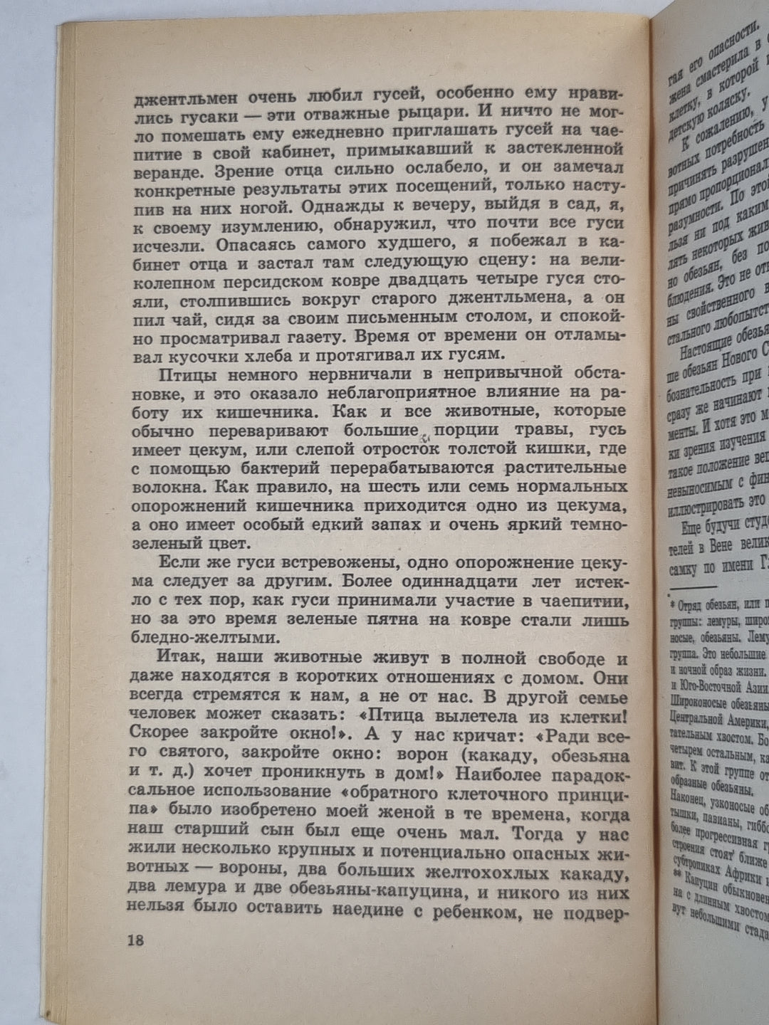 Кольцо царя Соломона