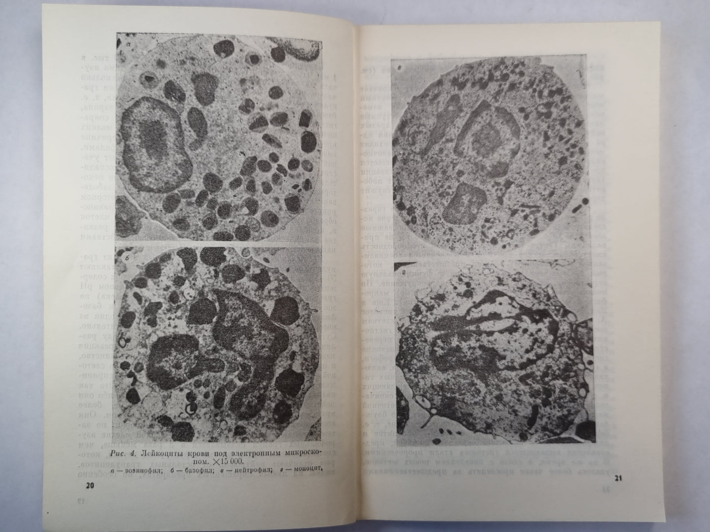 Часовы здоровья
