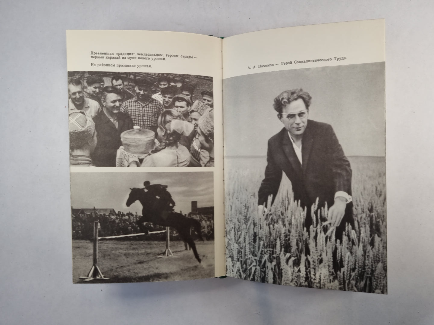 Земля в долгу не останется