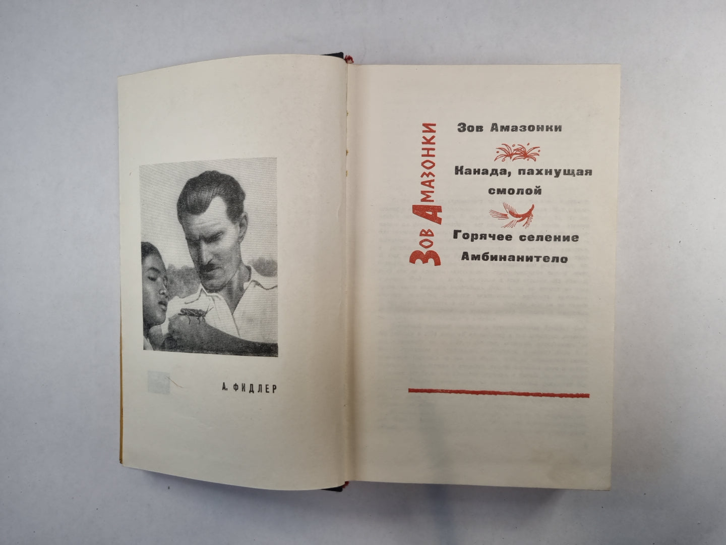 Зов Амазонки