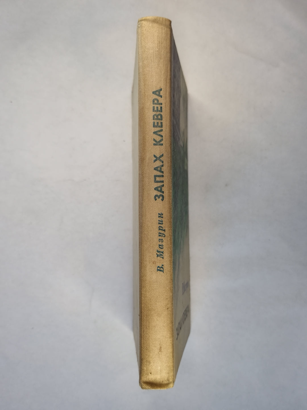 Запах клевера. Повесть и рассказы