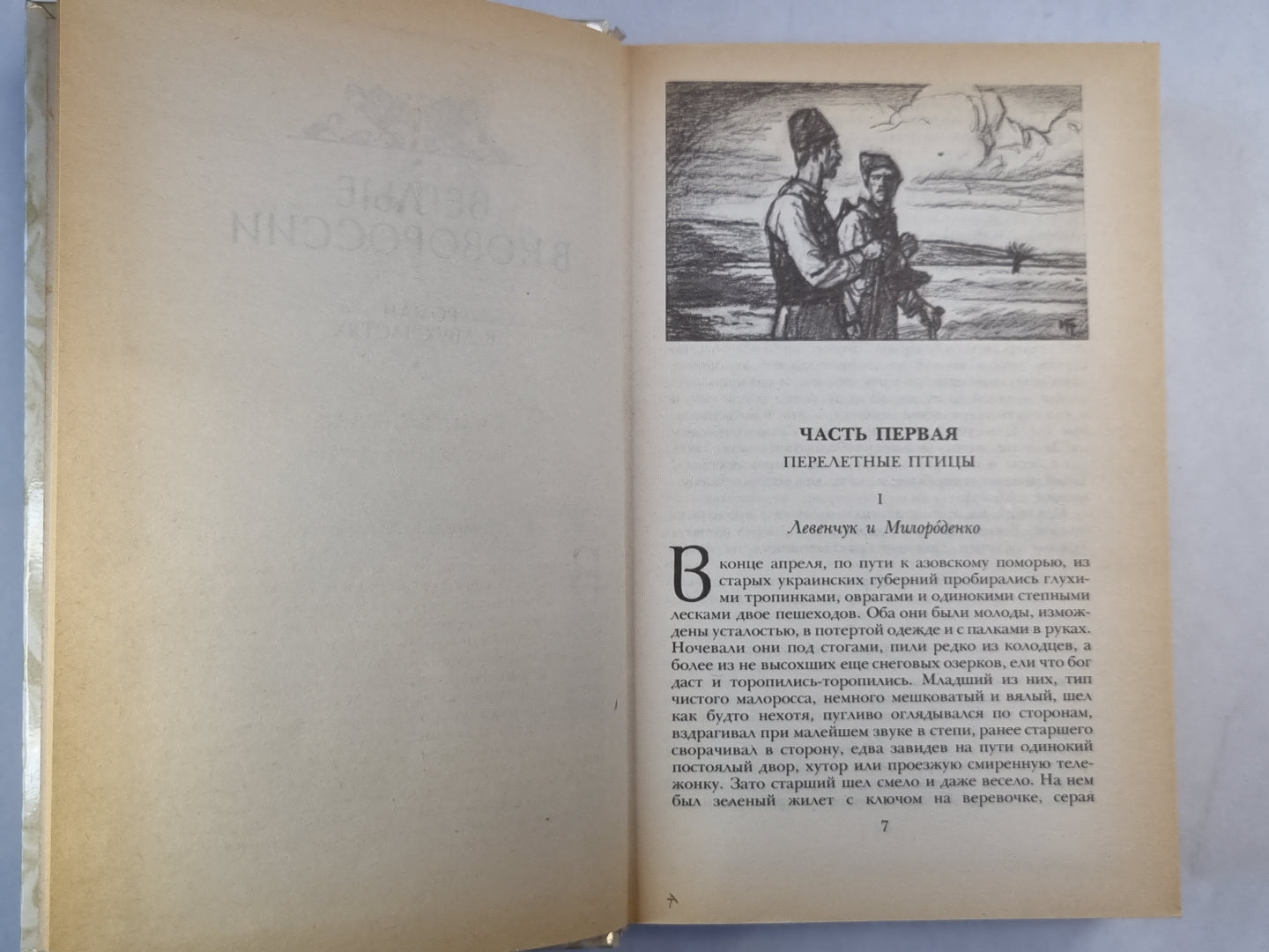 Беглые в Новороссии. Воля. Княжна Тараканова