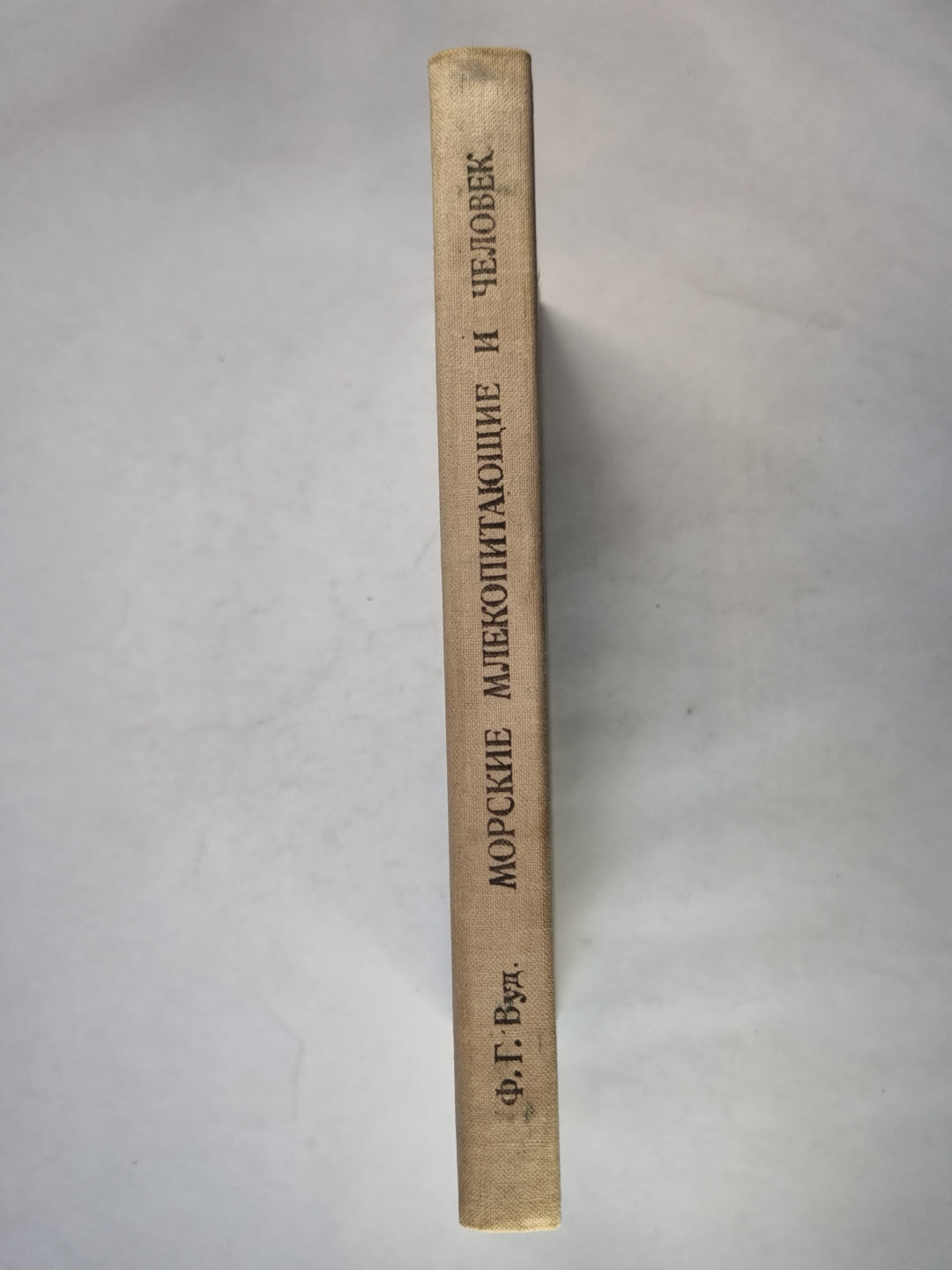 Морские млекопитающие и человек