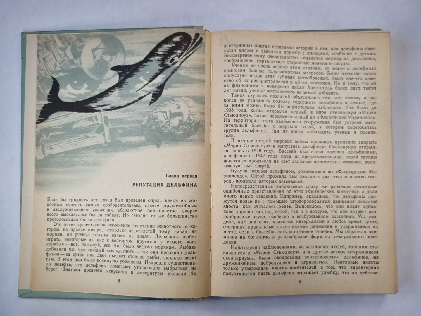 Морские млекопитающие и человек