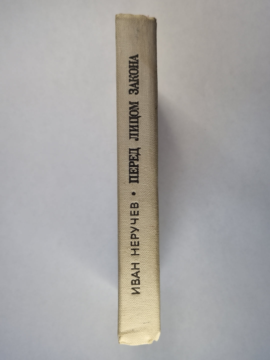 Перед лицом закона