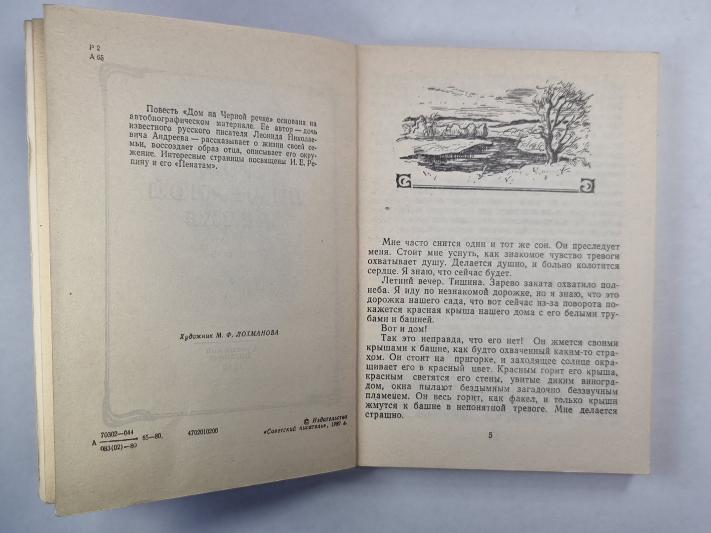 Дом на черной речке