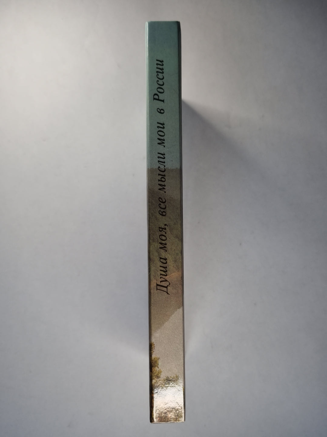 Душа моя, все мысли мои в России