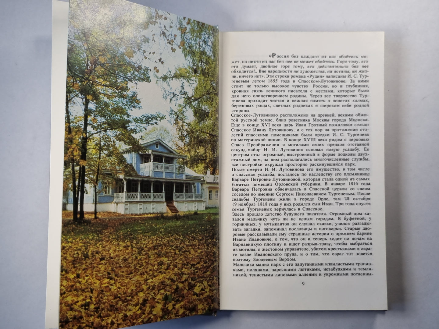 Душа моя, все мысли мои в России