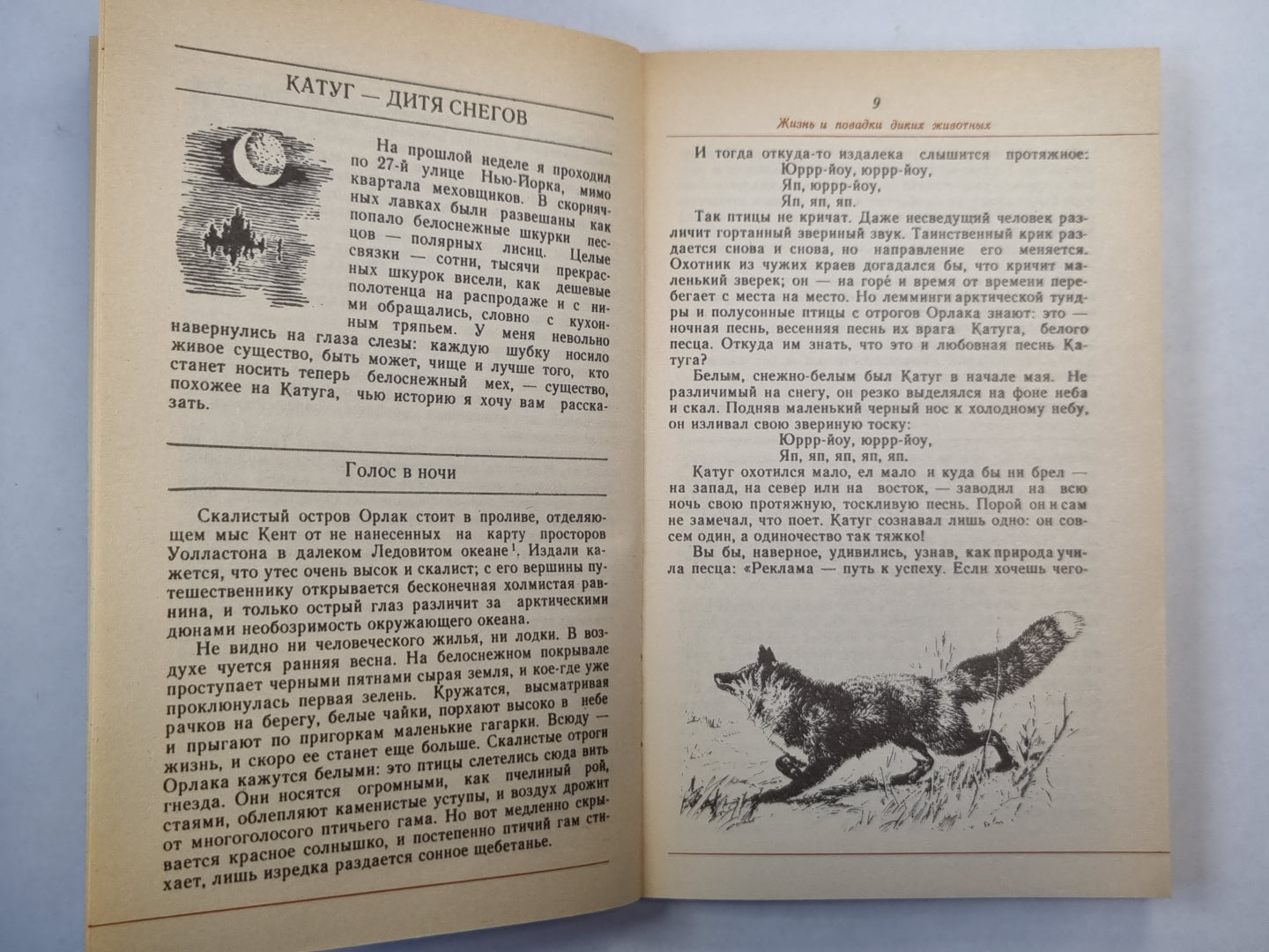 Жизнь и повадки диких животных