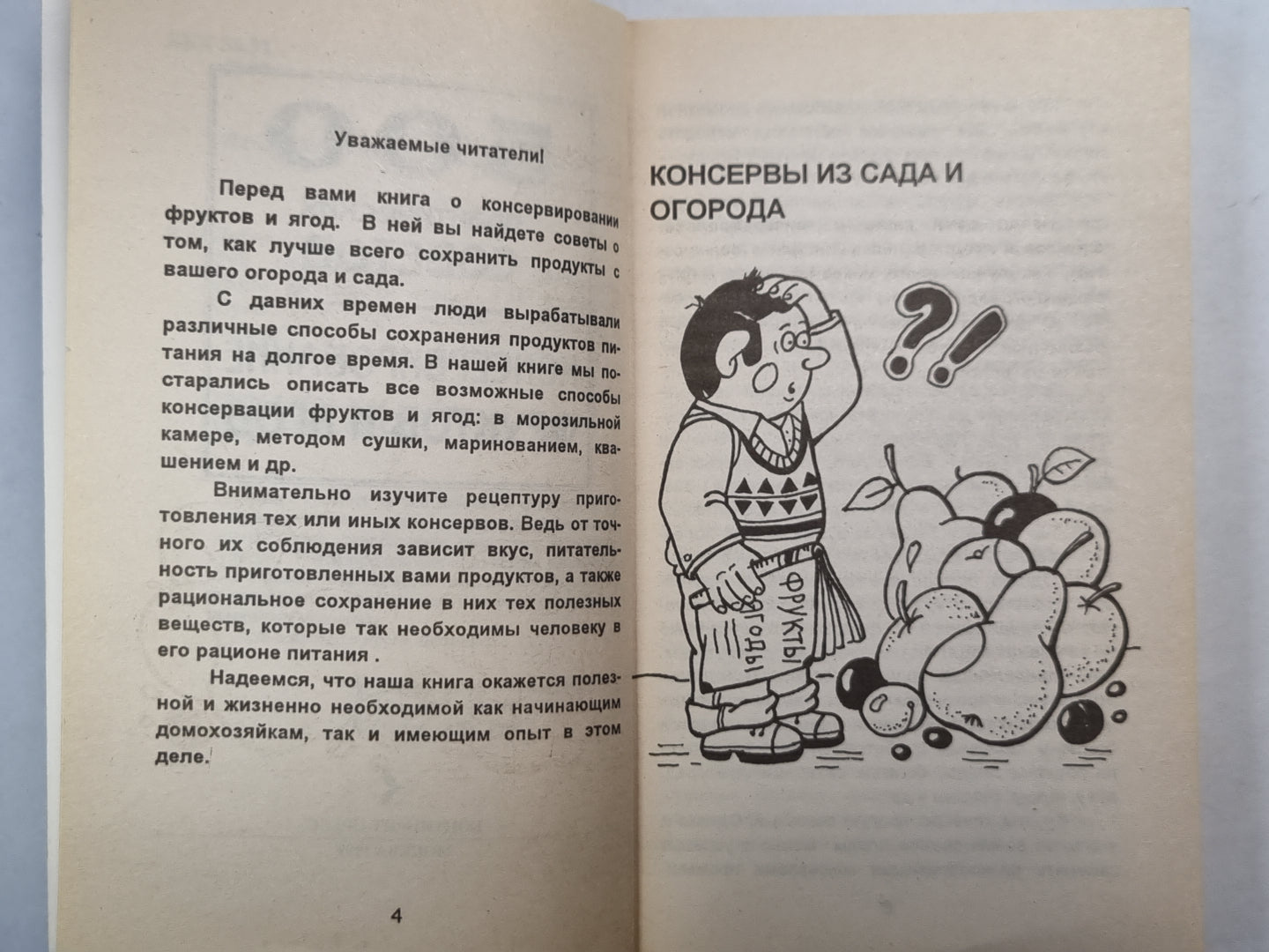 500 практических советов по консервированию фруктов и ягод