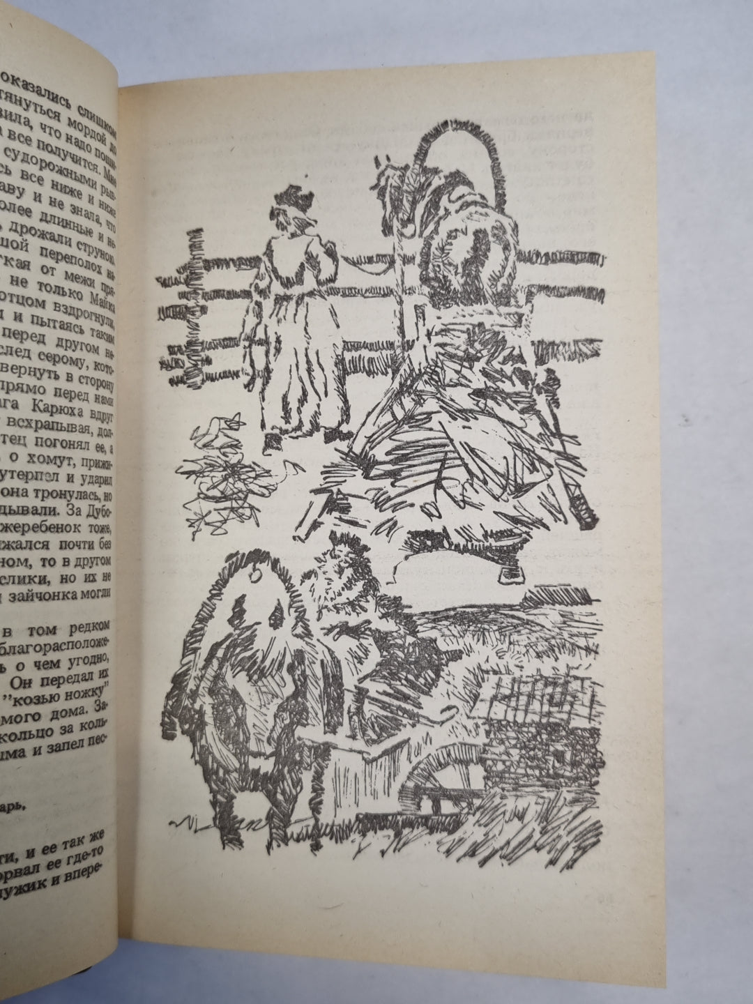 Карюха. Драучны