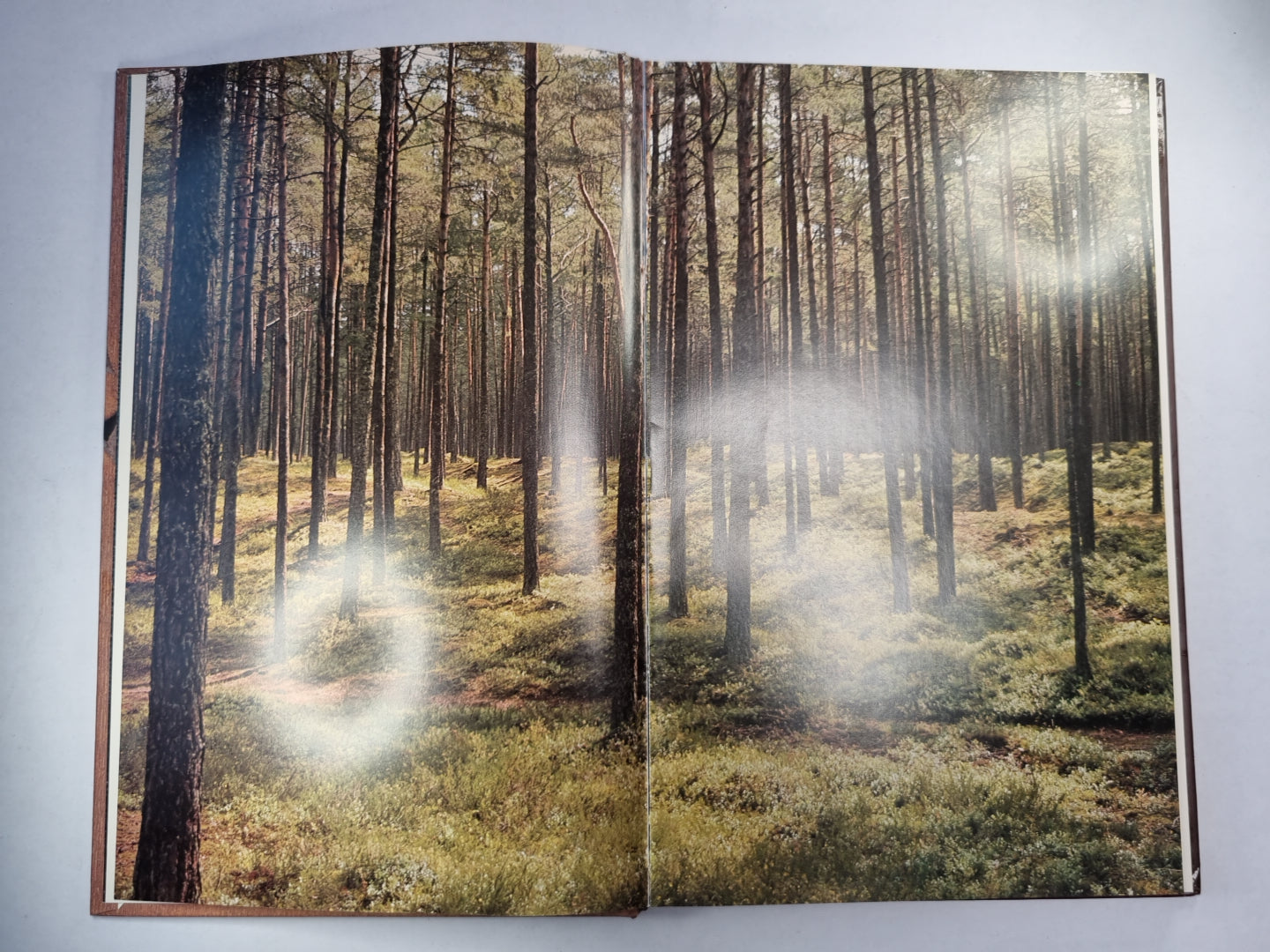 Юрмала. Jurmala (RUS/ENG)