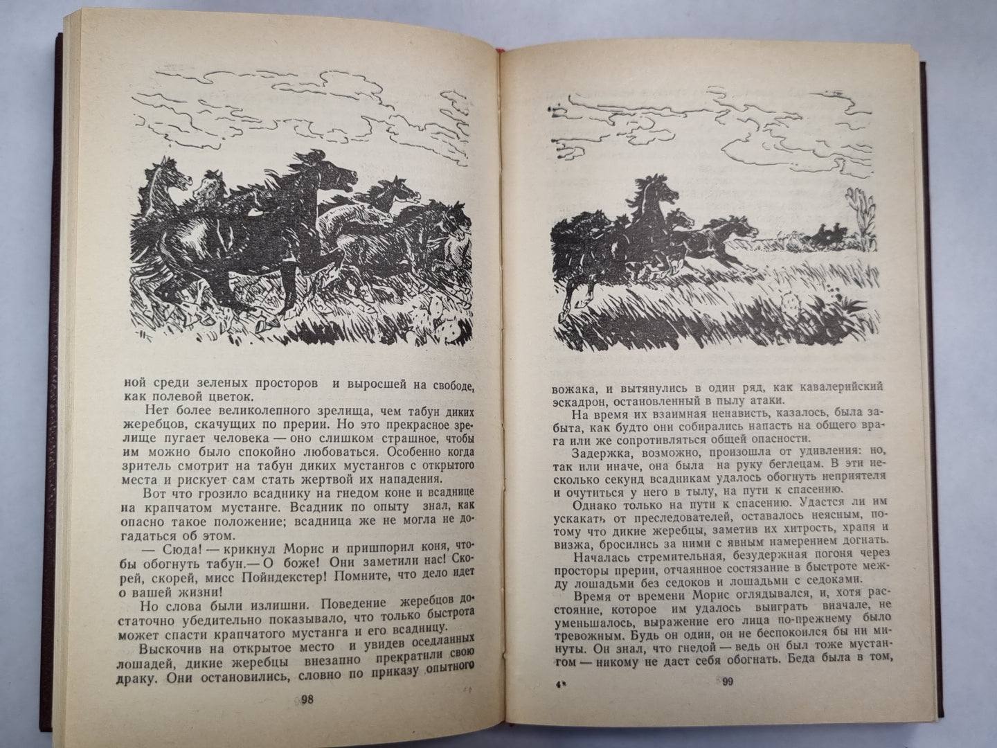 Всадник без головы