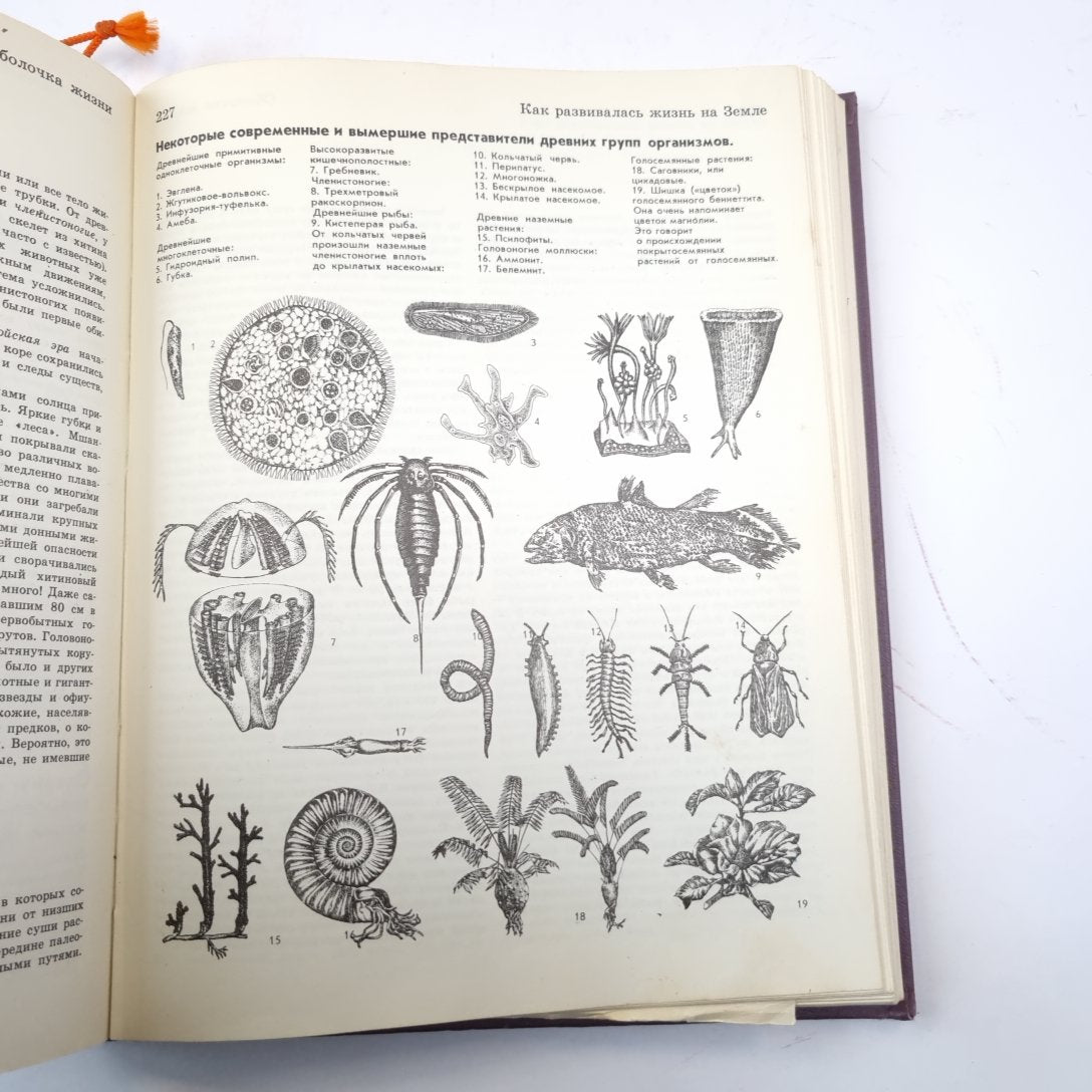 Детская энциклопедия