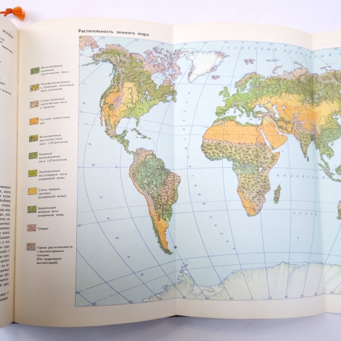 Детская энциклопедия