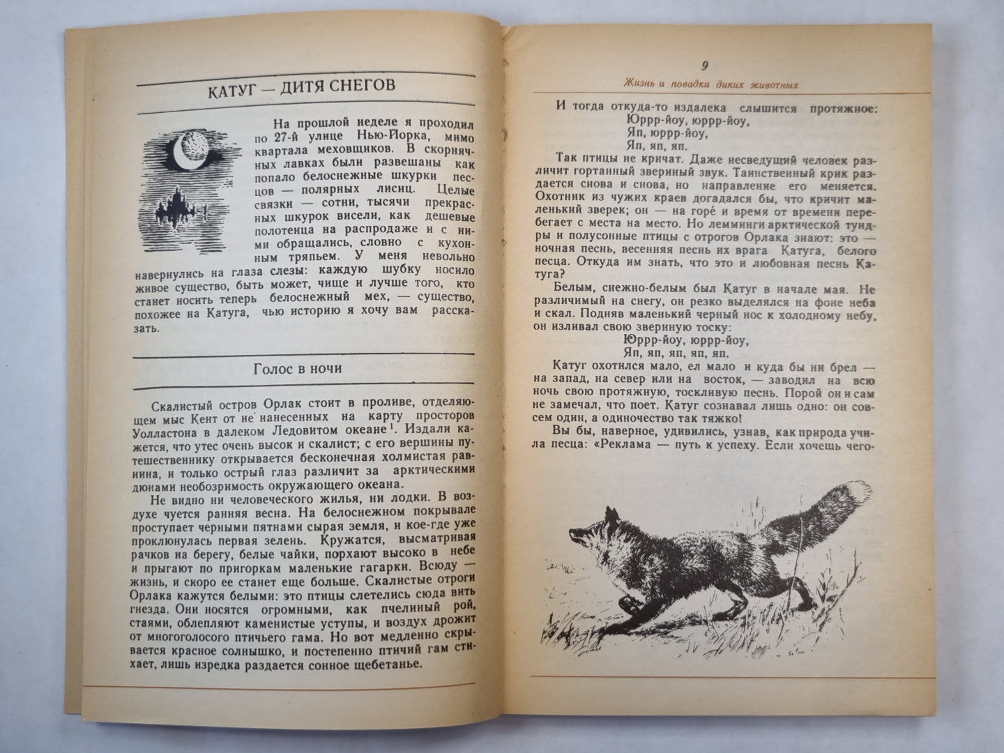 Жизнь и повадки диких животных