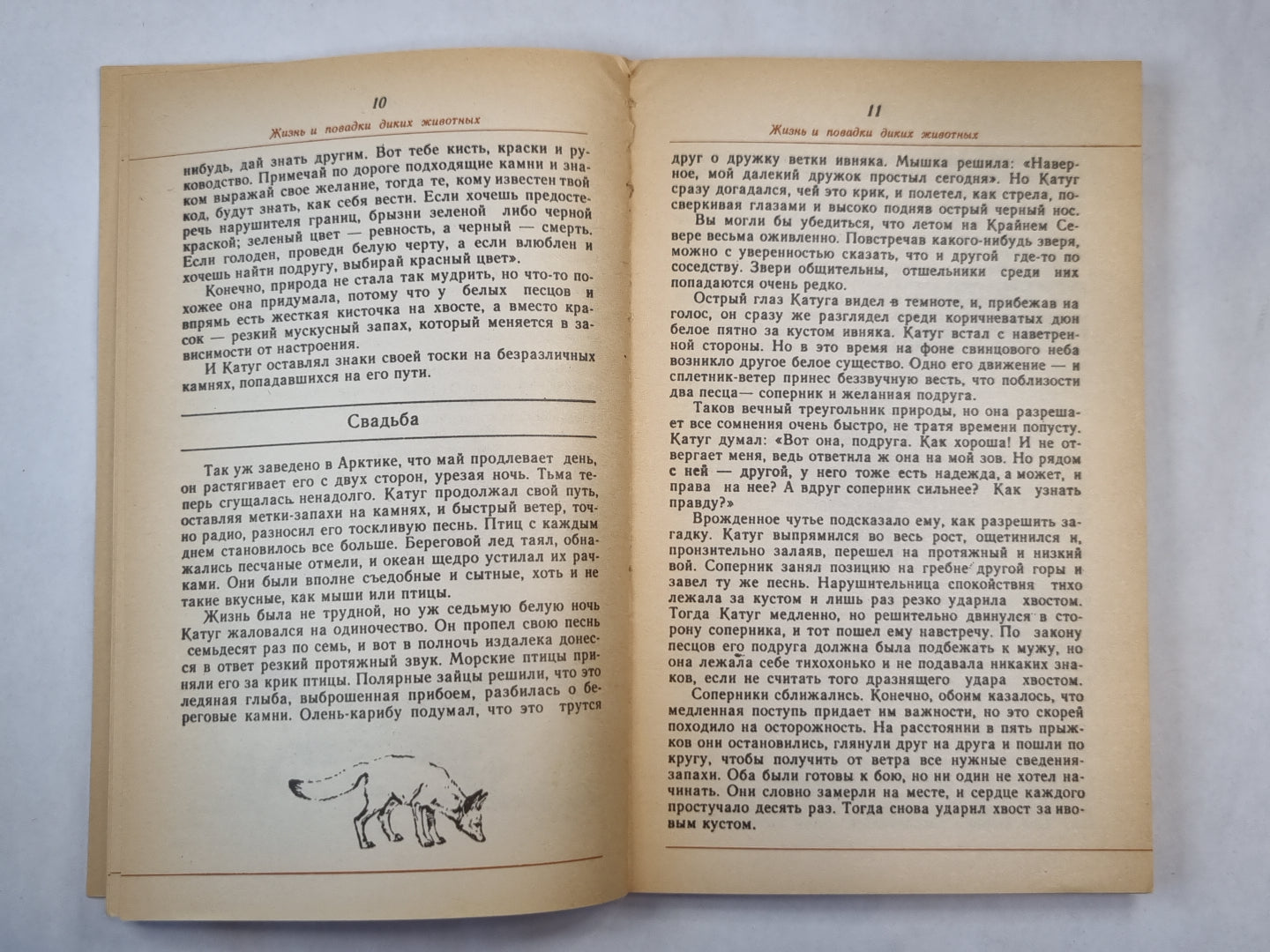 Жизнь и повадки диких животных