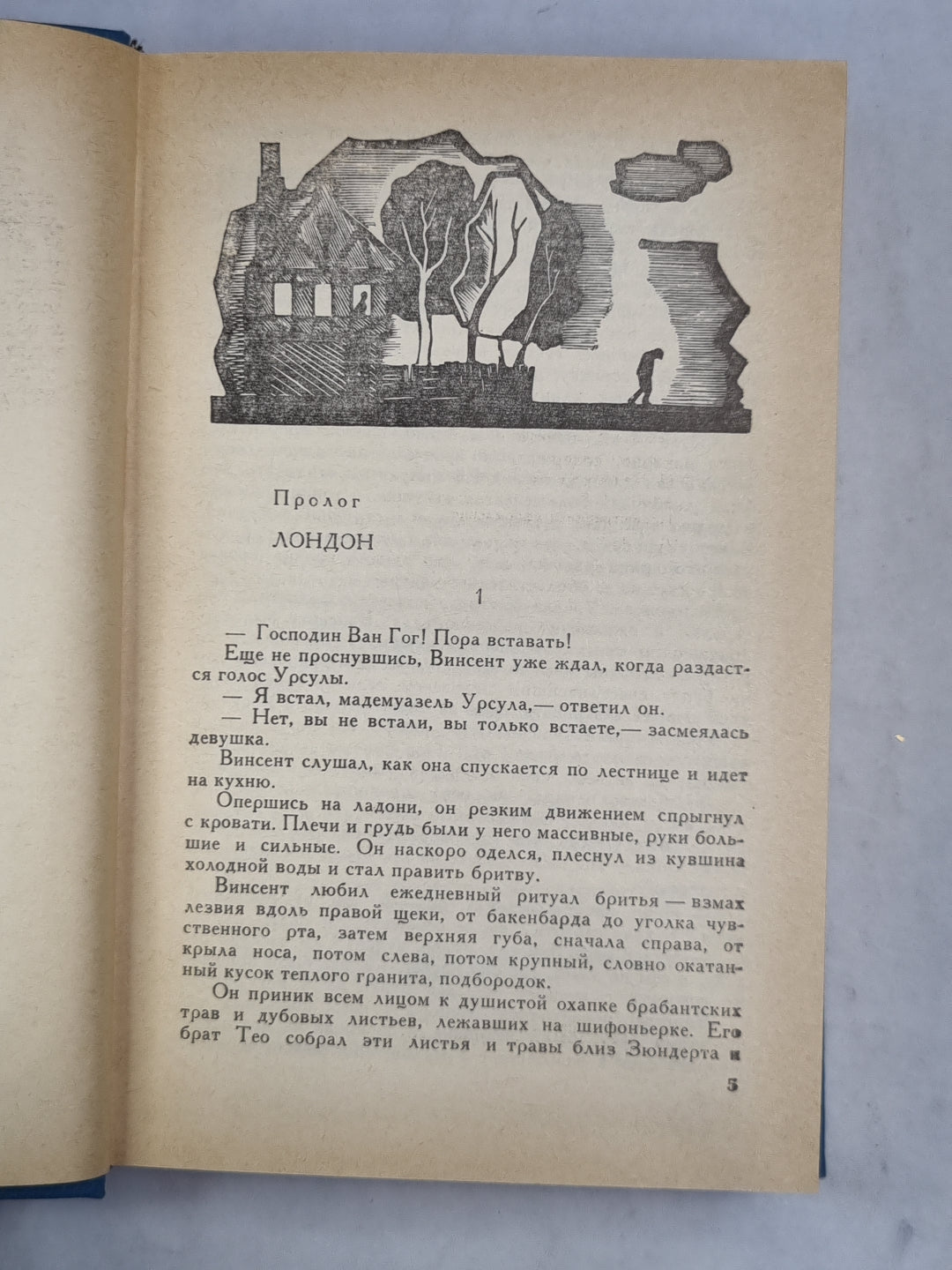 Жажда жизни. Повесть о Винсенте Ван Гоге