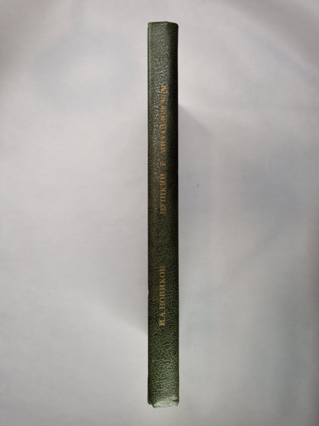 Pouchkine à Mikhaïlovski