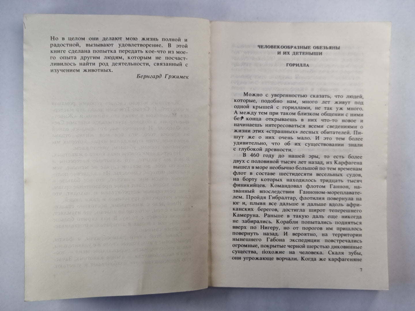 Животные рядом с нами