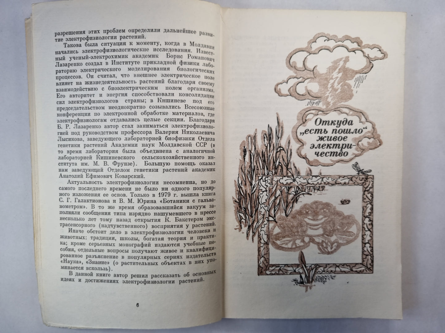 Cuisine électrique ''Язык''