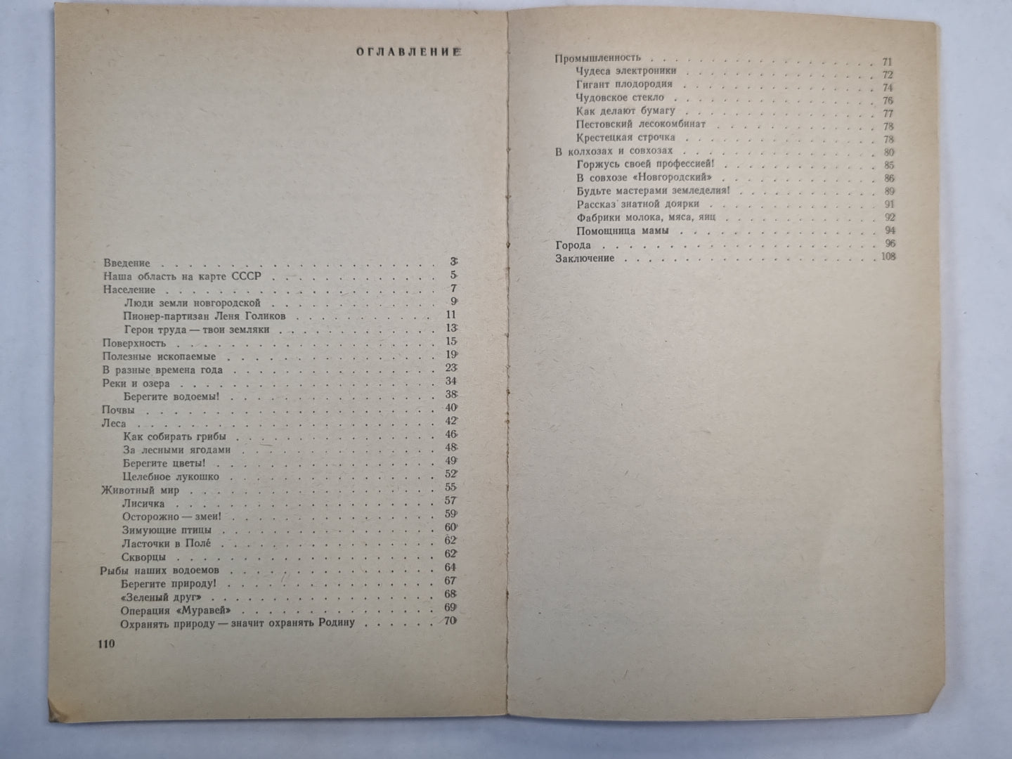 Наша новгородская земля