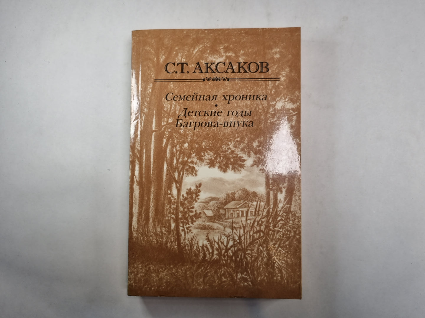 Семейная хроника. Детские годы Багрова-внука