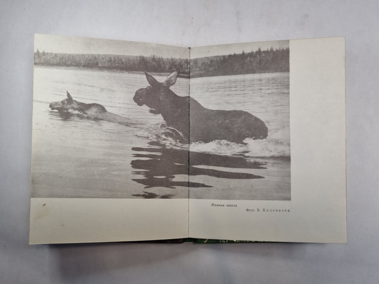 Заповедник на Байкале