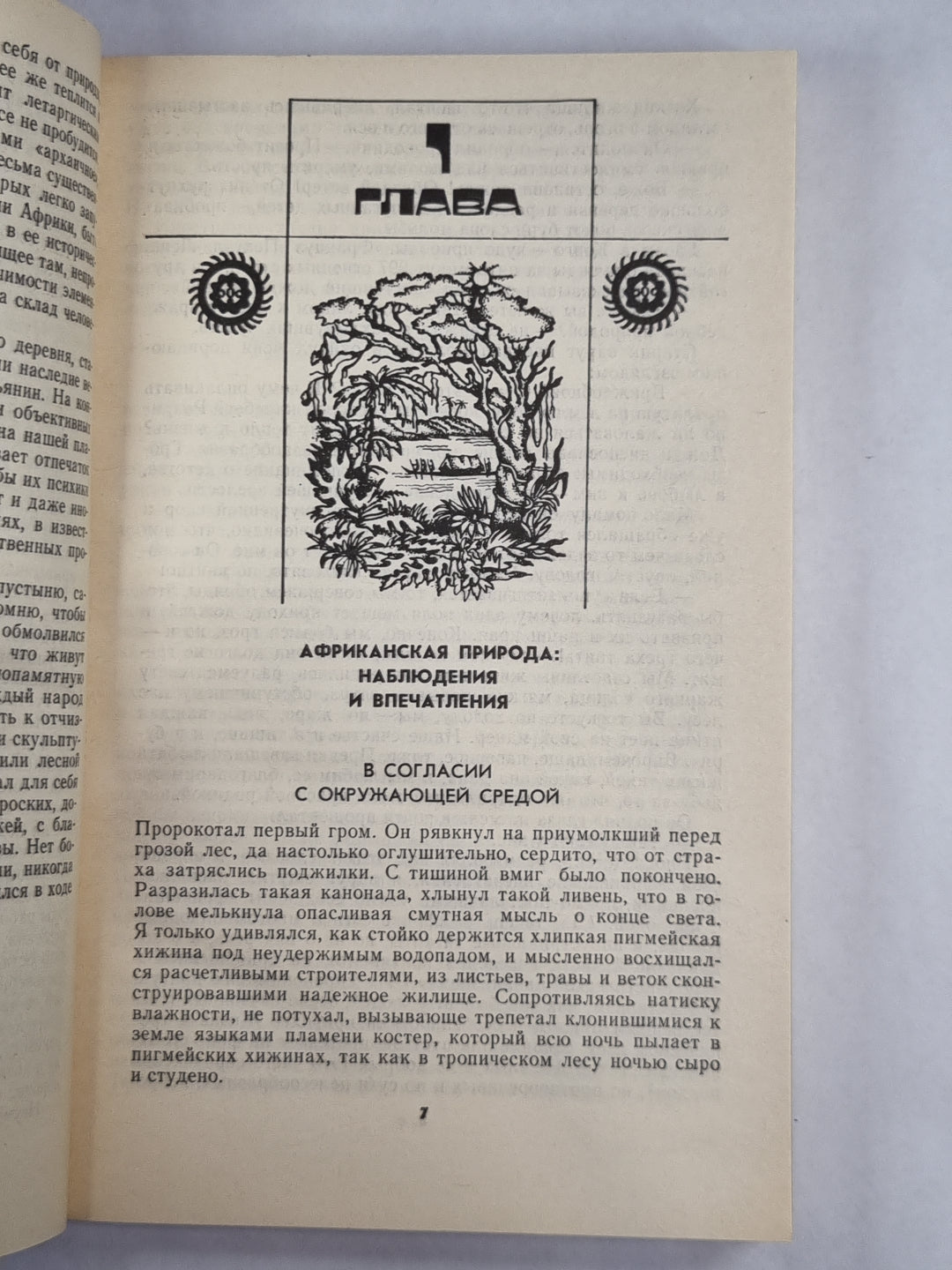 Бой Тамтамов будит мечту