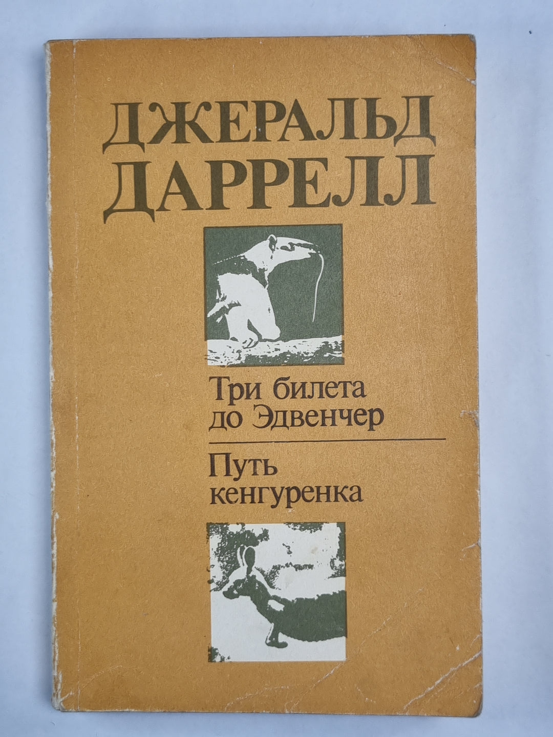 Три билета до Эдвенчер. Путь кенгуренка