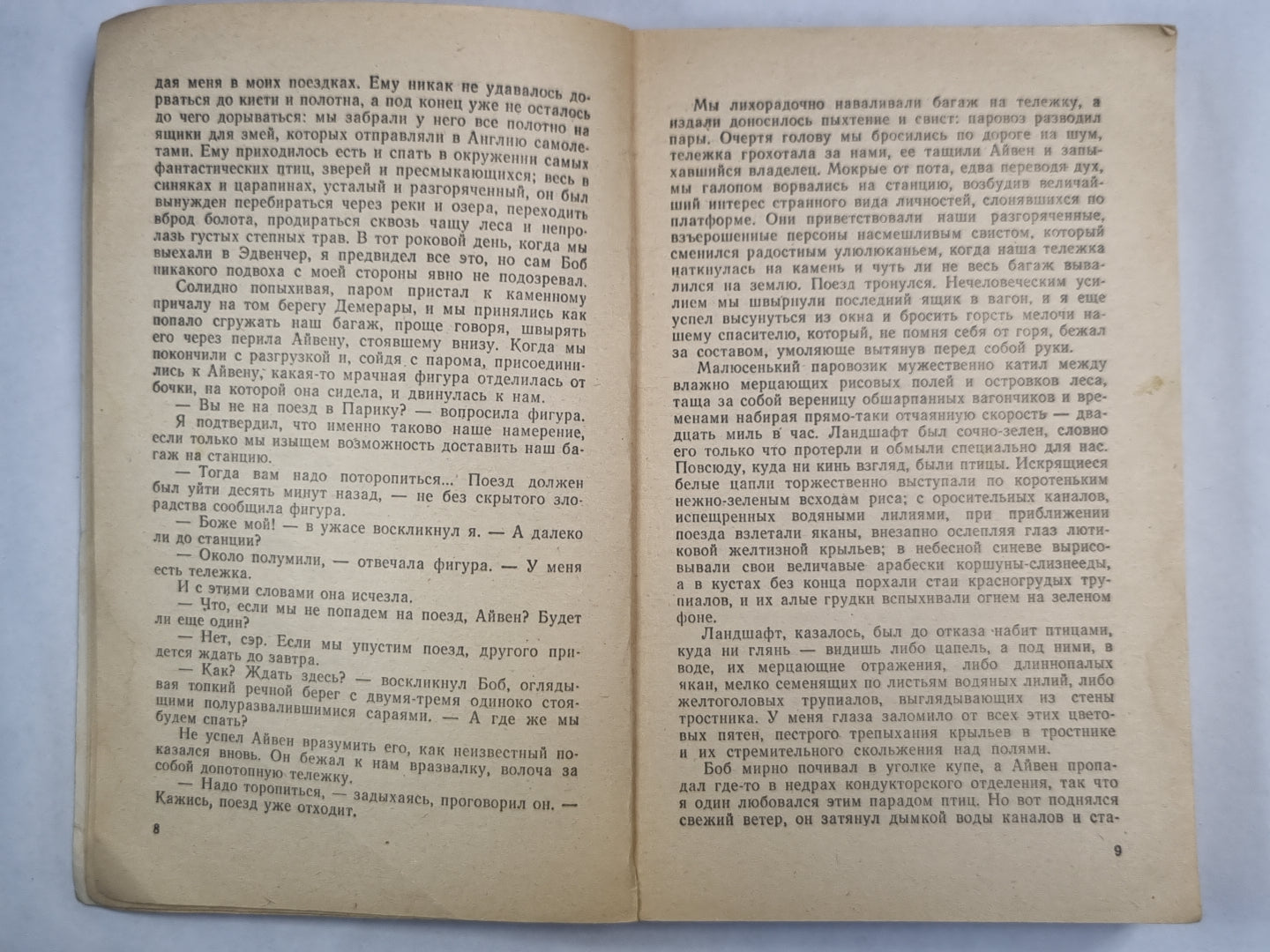 Три билета до Эдвенчер. Путь кенгуренка