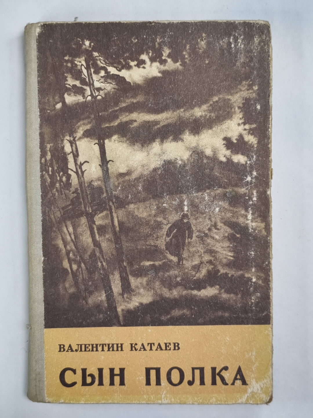 Сын полка