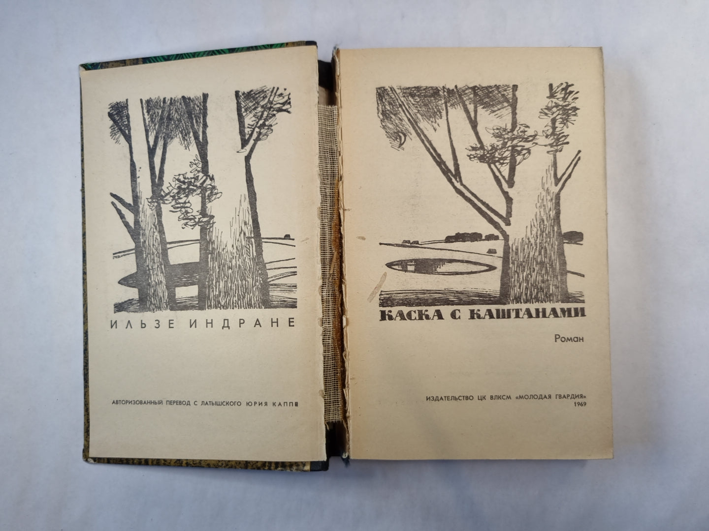 Каска с каштанами