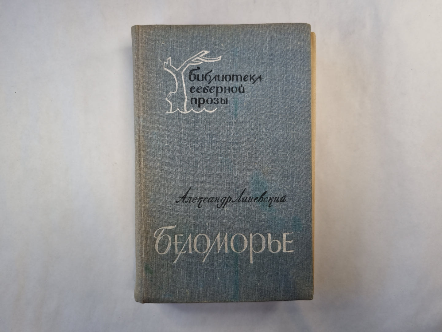 Беломорье. Книга 1