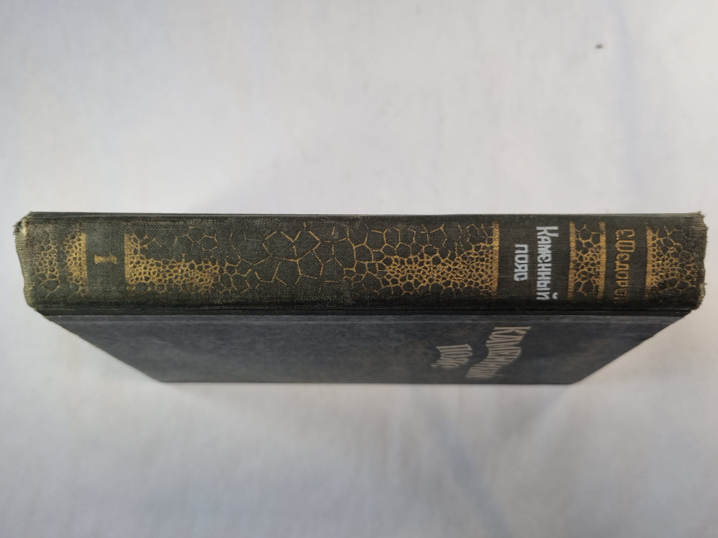 Каменный пояс. Исторический роман в трех книгах. Книга 1