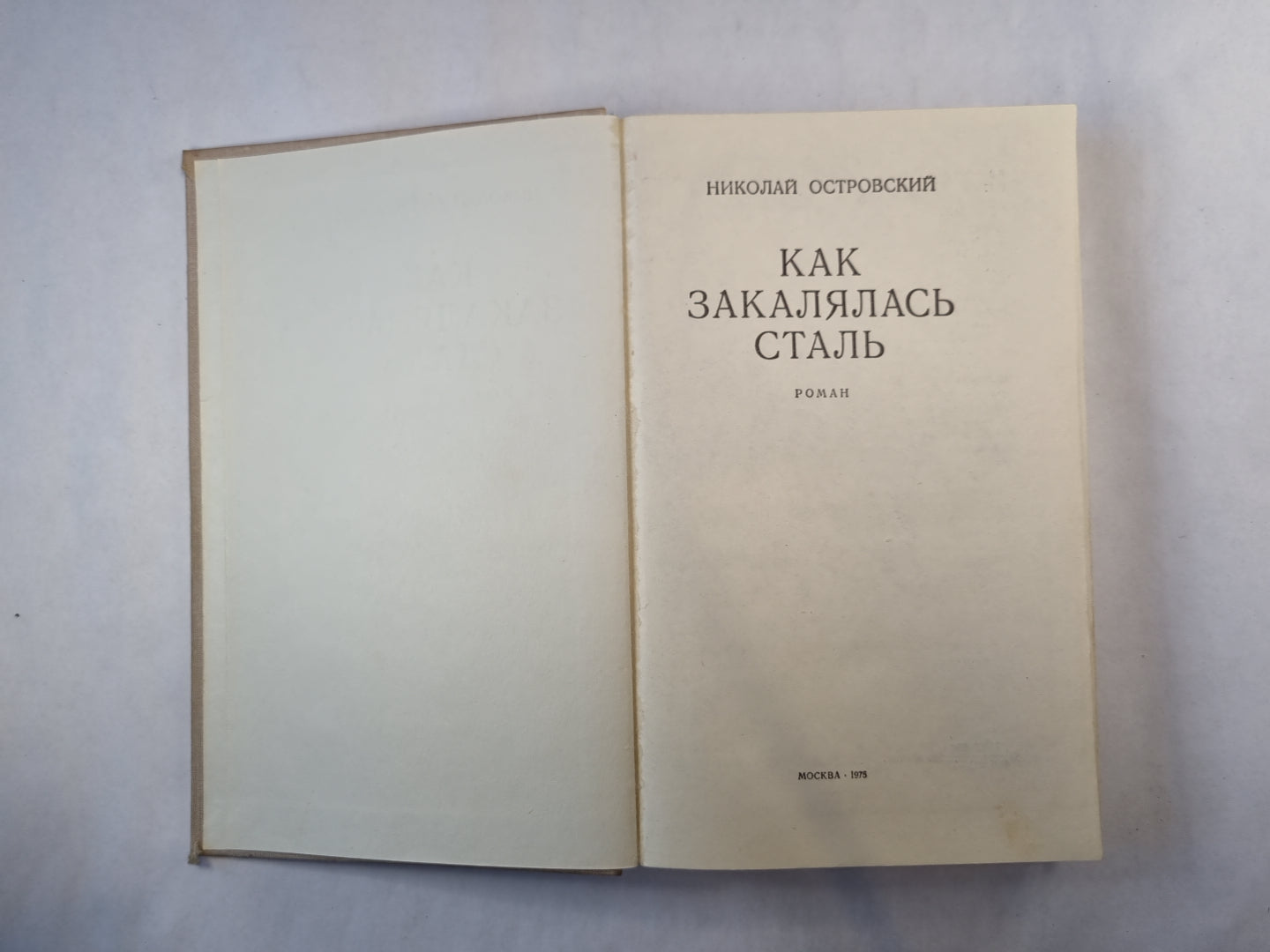 Как закалялась сталь