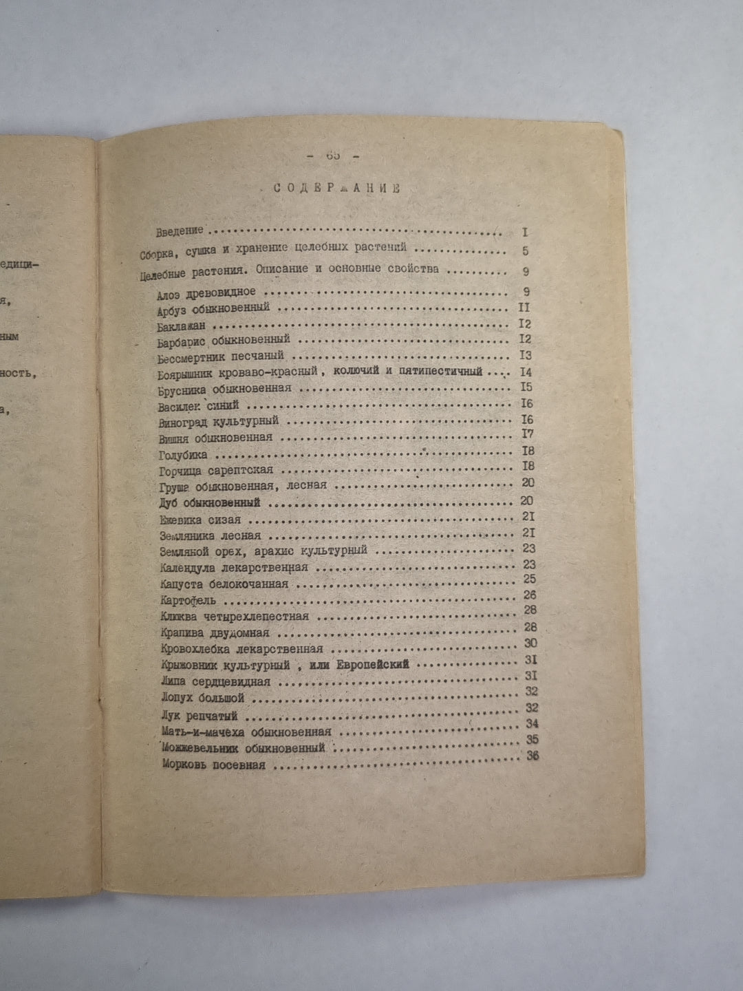 Целебные растения