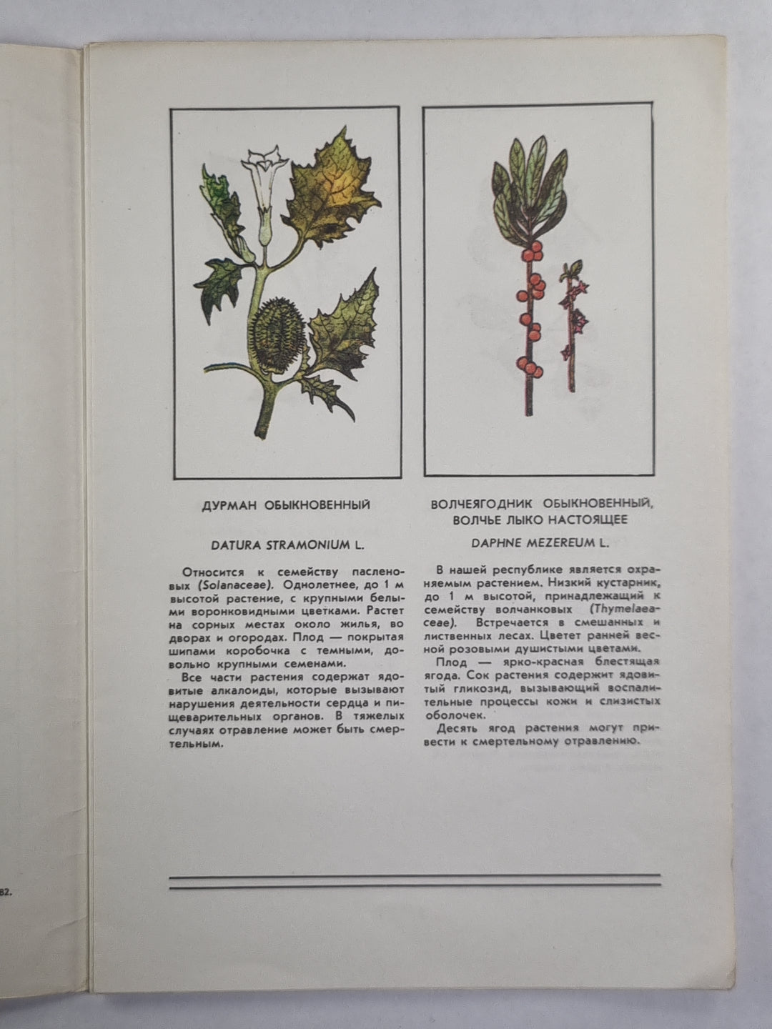 Ядовитые растения