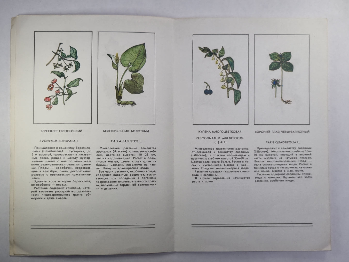 Ядовитые растения