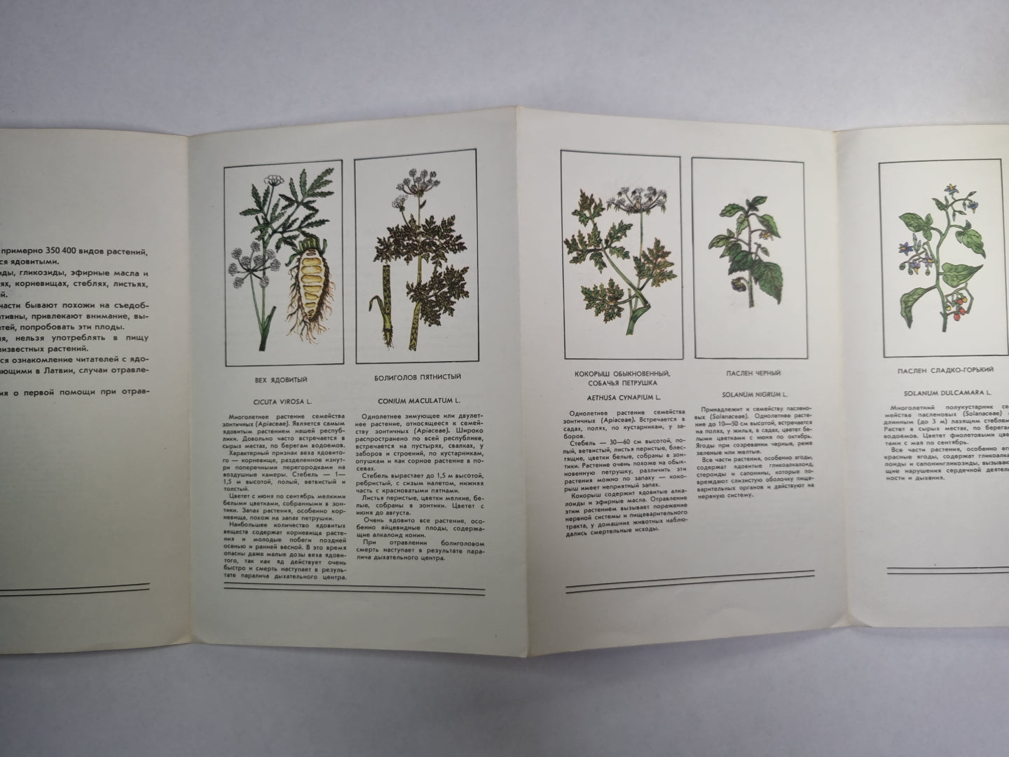 Ядовитые растения